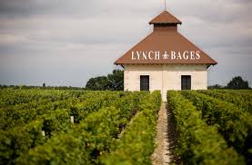 Château Lynch-Bages - Vignoble